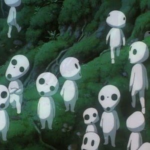 Meet your Posher, Stella